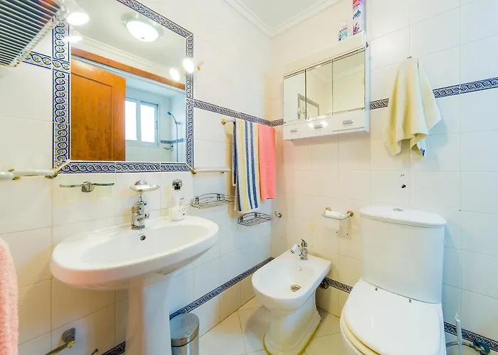 Alegria Id63 托雷维耶哈